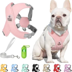 Dog Harness with Leash Set Adjustable Soft Padded Step-in Dog Vest No Choke