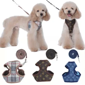 Pet Chest Anti-strangle Dog Leash Set Dog Walking Rope Adjustable Dog Harness