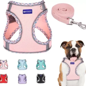 Pet Dogs Vest Collar Step in Harness Leash Set Breathable Air Mesh Reflective